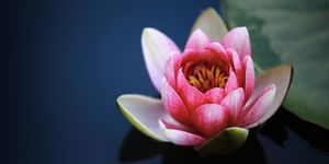 meditation